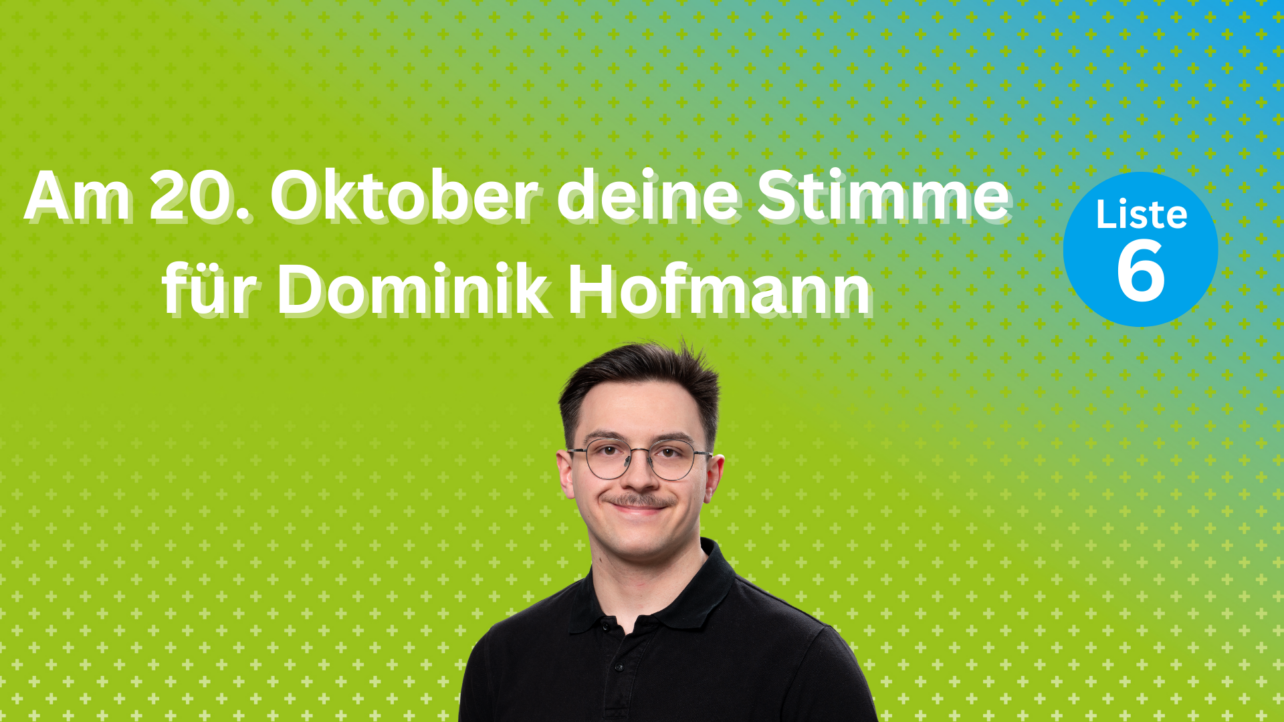 Wahlkampfvideo 2